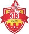 313 Football Academy logo